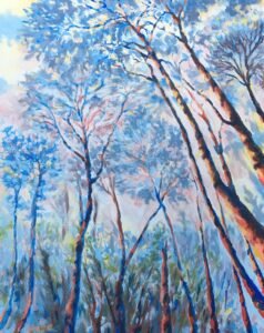 looking up at tree tops and sky